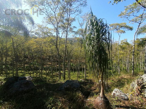 Se Vende Terreno En La Concepción Veracruz