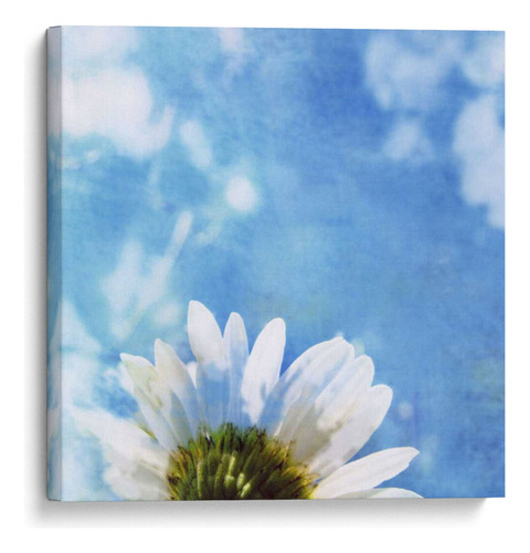 Canvas Lab Cuadro Margaritas Iii 120x120, Ingrid Blixt