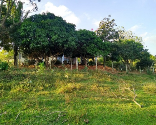 Imagem 12 de 22 de Sítio À Venda No Distrito Do Porto - Capela Do Alto/sp - St00280 - 69520129
