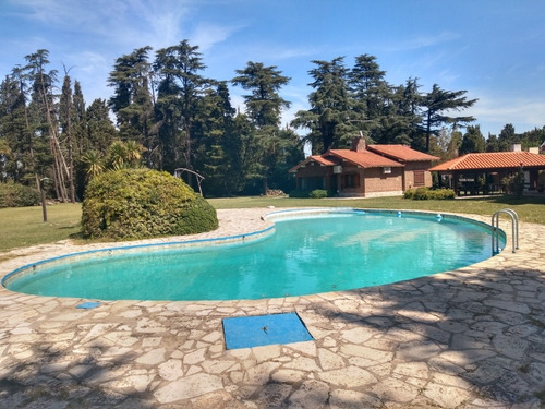 Imagen 1 de 14 de 12.000 Mts Árboles Y Palmeras Mínimo 4 Días Precio Día