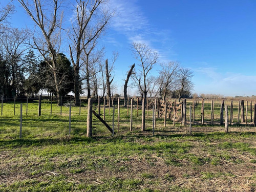 18 Hectareas En San Miguel Del Monte