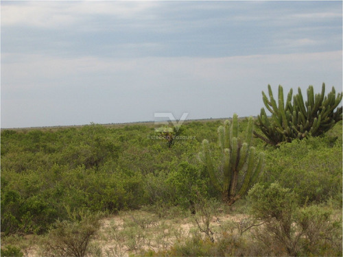 Imagen 5 de 6 de Venta. Campo 2200 Htas En Lucio V Mansilla. Ideal Engorde