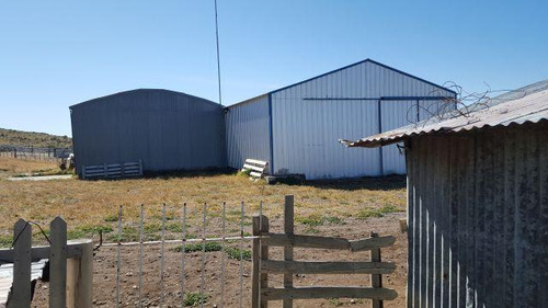 Campo - Perito Moreno