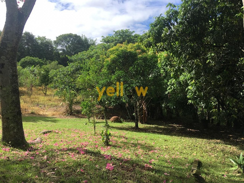 Imagem 14 de 18 de Terreno - Jardim Aracy - Te-1614