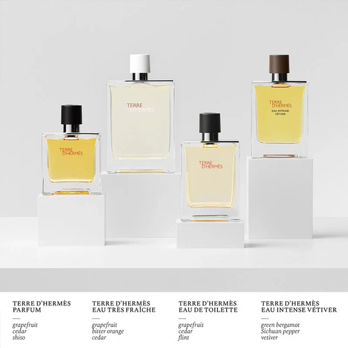 Perfume Terre Dhermès Eau De Toilette Masculino 100ml