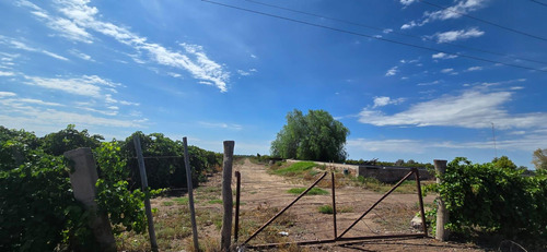 Venta Finca El Carrizal