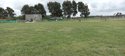 Imagen 7 de 12 de Venta-terreno -pilar- Santo Tomas-interno