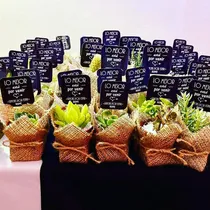 Comprar 155 Souvenir Suculentas Plantitas Decoradas Regalos Isiflor