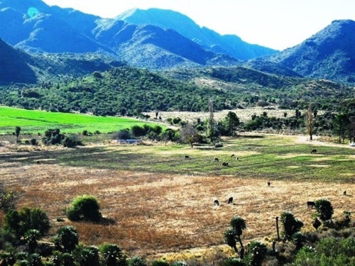 Imagen 16 de 29 de Campo 432 Hectáreas , En Los Cerros, Córdoba. Recibo Pesos.