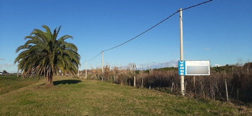 Imagen 6 de 13 de Se Vende Fracción De Campo Ruta 102 Y Melilla