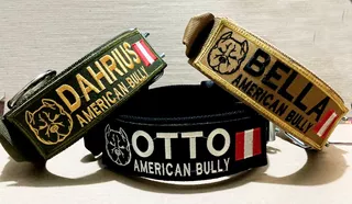 Collar Personalizado American Bully 6cm