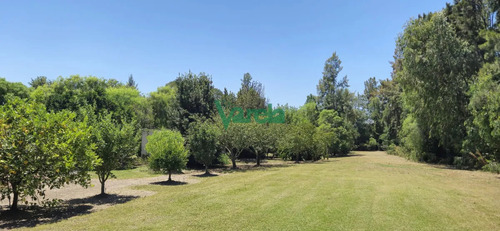 Casa Con Gran Terreno De 9026 M2 Sobre Ruta 11