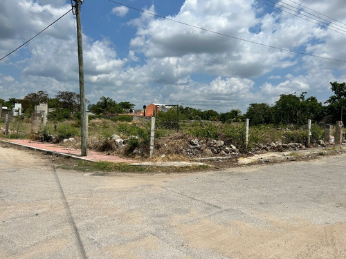 Terreno En Venta En Col. El Roble Agrícola