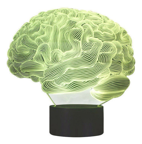 Cerebro Humano - Modelo Cerebellum Sobremesa Color Mudan