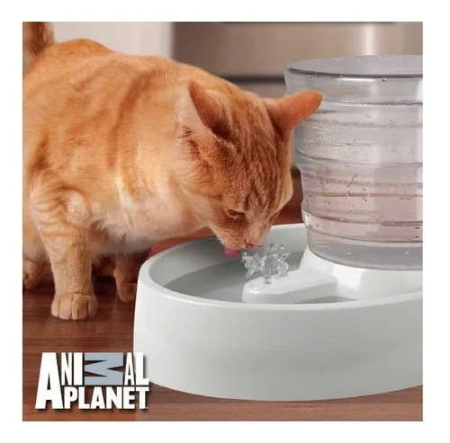 Animal planet pet fountain hotsell