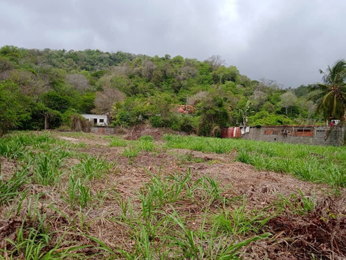 Imagen 5 de 5 de Terreno En Venta En Corrales Chirimena