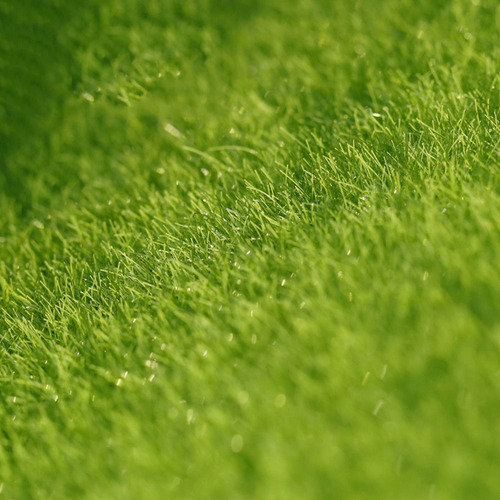 Alfombra, Césped, Musgo Artificial, Micropaisaje