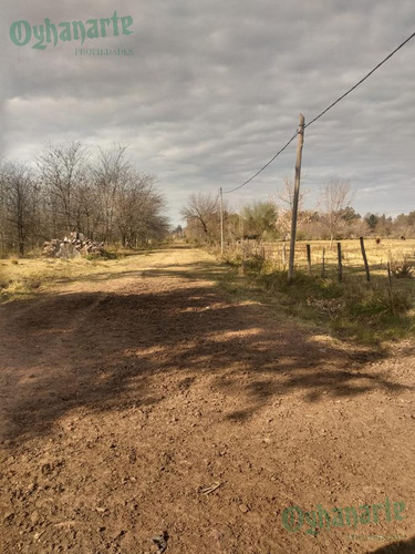 Imagen 13 de 21 de Venta De Campo De 23 Hectáreas En General Rodriguez.