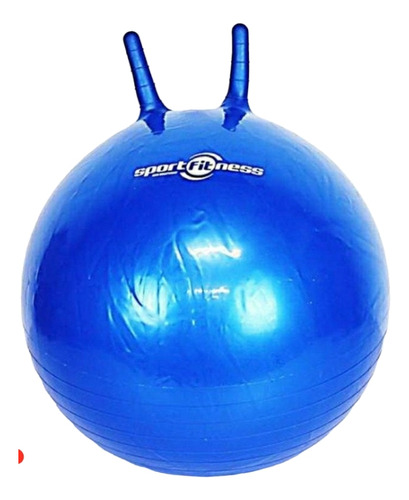 Balón Pilates Yoga Terapias Pelota 55cm Con Agarres Sportfit