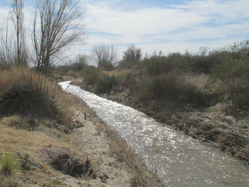 Imagen 4 de 8 de Finca En Venta - San Carlos - Valle De Uco