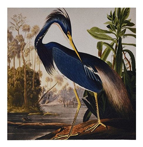 Alfombrilla De Ratón 3drose 8x8x0.25plug John J Audubon Blue