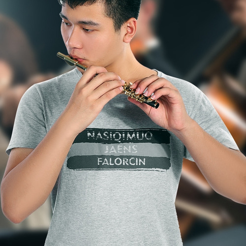 Flauta En Forma De C Piccolo Ottavino, Tamaño Medio Plateado