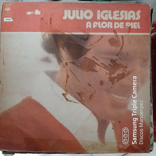 Vinilo Julio Iglesias A Flor De Piel Xx M5