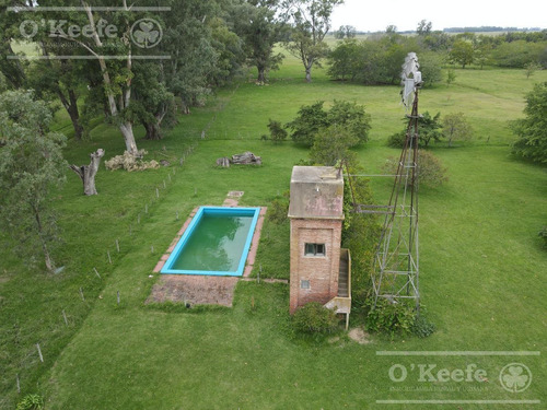 Imagen 3 de 20 de Campo En Venta 120 Has En Mercedes - Mixto Con Casco