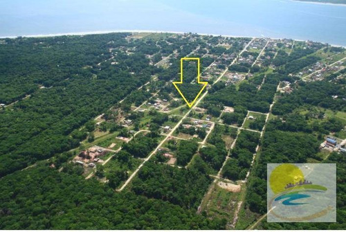 Imagem 10 de 10 de Terreno À Venda, 811 M² Por R$ 250.000,00 - Brandalize - Itapoá/sc - Te0605