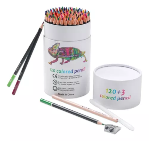 Kit De Dibujo 123 Pcs，AXIDUN- Set de Arte Colores Profesionales,Incluye  Plumones, Lapices De Colores, Pasteles al Óleo, Acuarelas, Crayón etc, Kit  de Arte para Niños, Principiantes y Artistas : : Hogar y