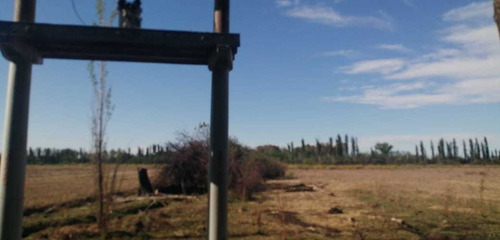 Imagen 3 de 10 de Finca 22 Hectarias En Colonia Elena San Rafael