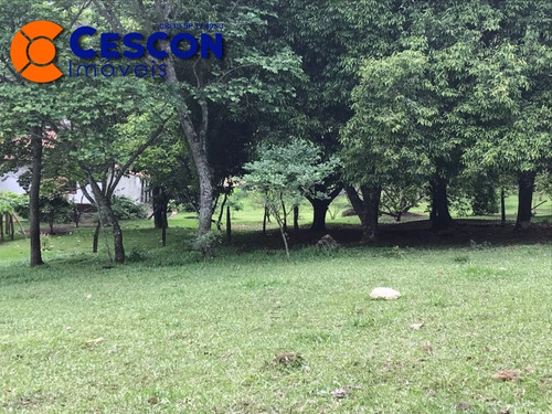 Imagem 8 de 26 de Chacara - Ch00012 - 31910680
