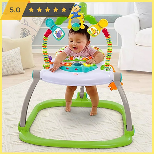 60 Dias Jumperoo Fisher Price Locação - Só Cidade São Paulo