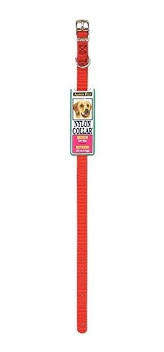 Petmate Aspen Pet Products 15356 Nylon Collar De Vbeaf