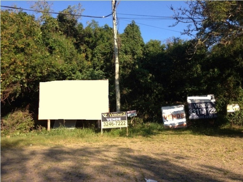 Terreno Em Jardim Isabel - Vz1389