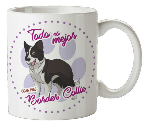 Tazón Perro Border Collie