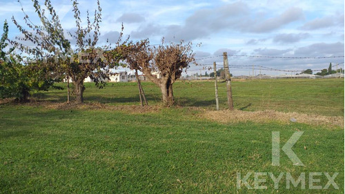 Terreno - Lote - Lote Para Casa Quinta - Lisandro Olmos Etcheverry