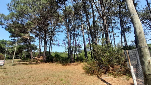 Imagen 12 de 16 de Venta De Lote En Barra Verde, La Barra, Uruguay - La Barra Barra Verde