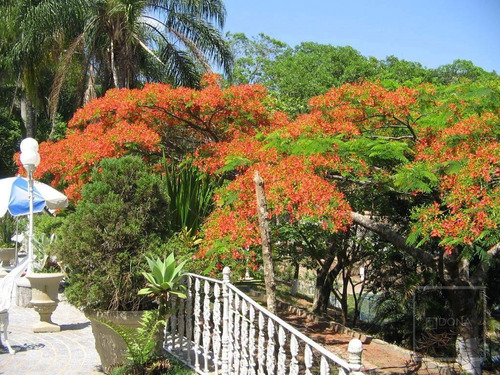 Chácara Residencial À Venda, Nova Suiça , Valinhos - Ch0001. - Ch0001
