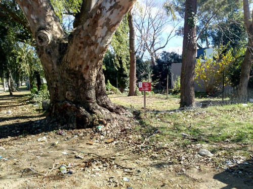 Imagen 2 de 3 de Terreno - Mar De Ajo