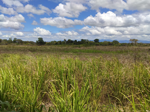 Se Vende Terreno En La Toscana Carreta Nacional Ve02-1246lt-ecam