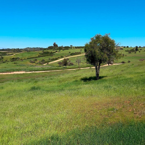 Gran Venta Final En Hacienda Don Bastián A 2 Horas Santiago