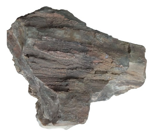 Tronco De Arbol Petrificado (Usado)