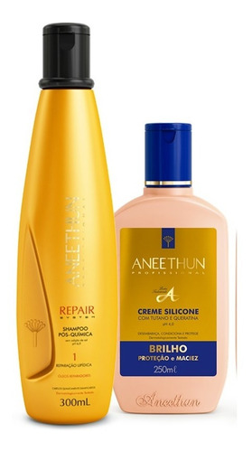  Aneethun Shampoo Repair 300ml Pós Quimica