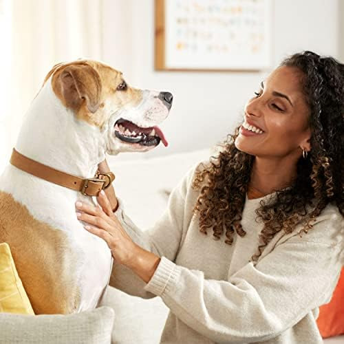 Rachael Ray Nutrish Soup Bones Dog Treats, Sabor A Carne Y C