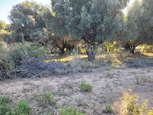 Terreno En San Javier Córdoba Traslasierra Lotes Venta
