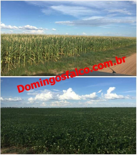 Imagem 3 de 3 de Venda - Fazenda - Zona Rural - Salvador - Ba - D0217