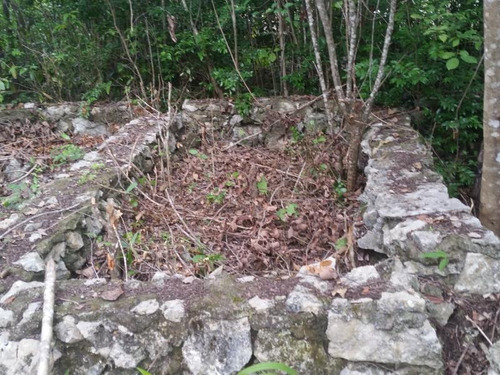 Imagen 10 de 12 de Terreno En Venta Cuna Maya Smza. 205