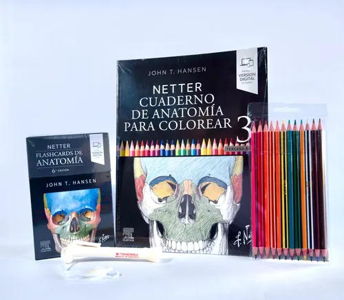 Cuaderno De Anatomia Para Colorear + Flashcards De Anatomia