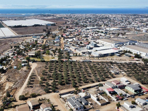 Los Olivos - Preventa De Terrenos Con Vista Al Mar En Ensenada